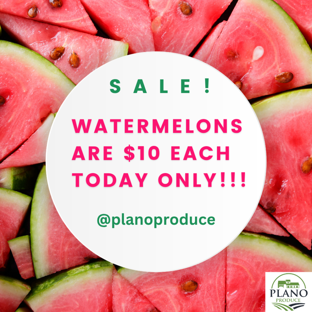 watermelon special.webp
